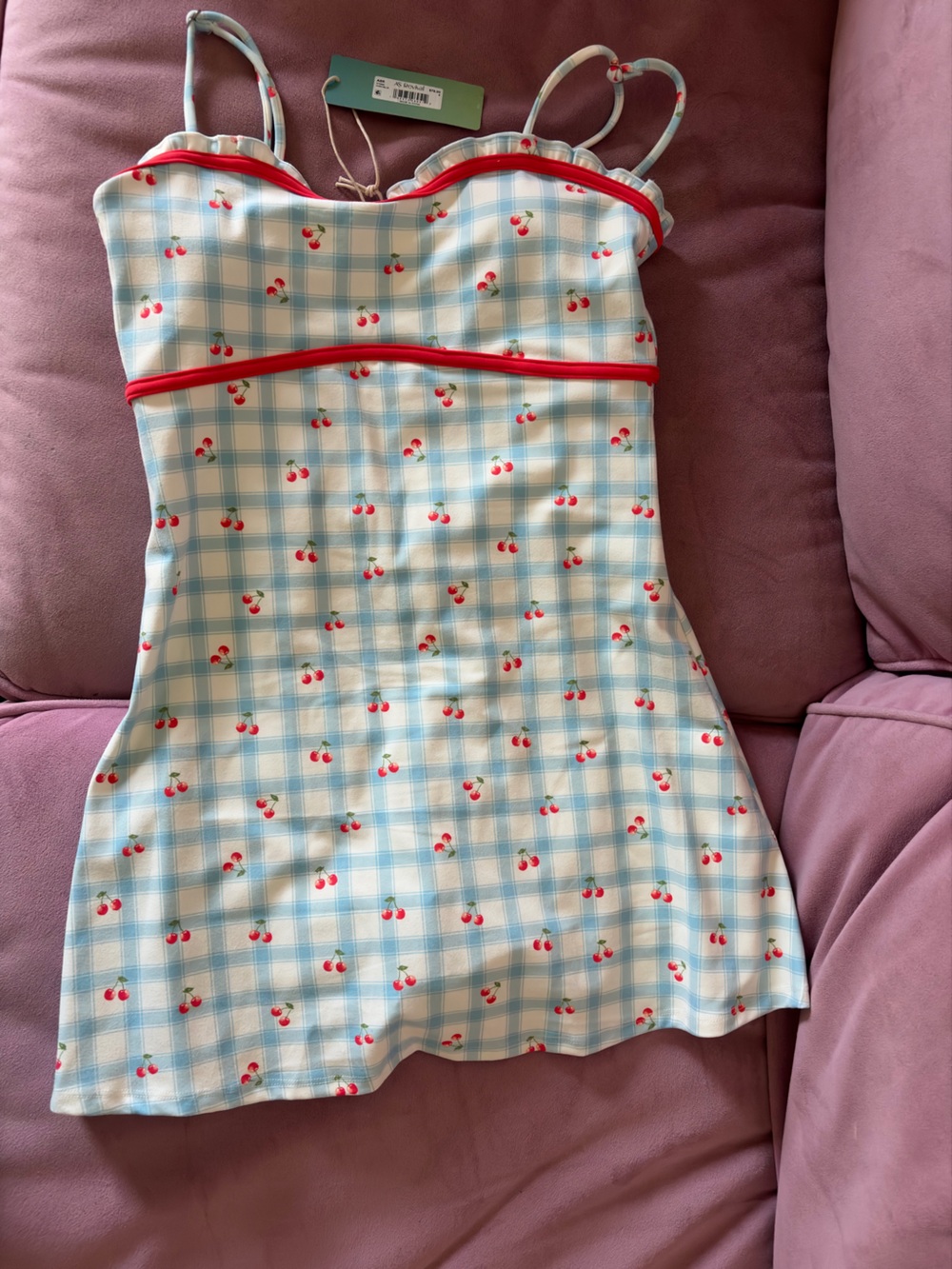 Altar'd State Blue Plaid Cherry-Print Mini Dress with Red Trim